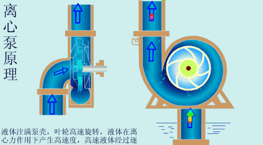 給（gei）水泵、給（ji）水泵別再傻傻分不清楚（內含動畫）