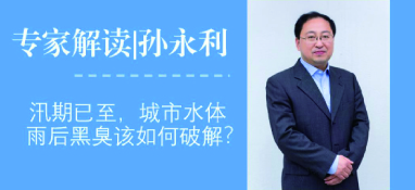 汛期已至，城市水體雨后黑臭問題該如何破解？